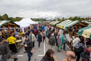 253 Svetovni festival prazenega krompirja Foto atelje Postojna